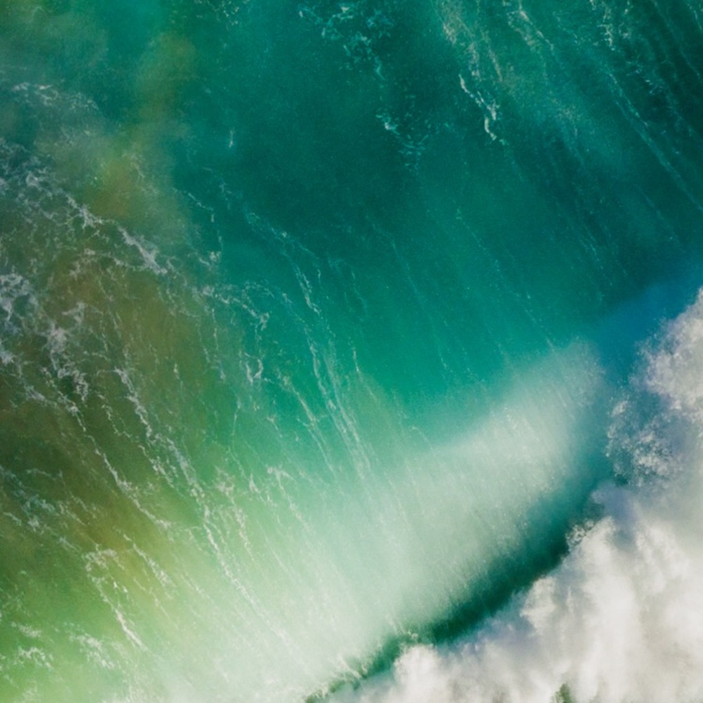 Meet your Posher, Eric